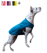 Kurgo Reversible Winter Dog Coat
