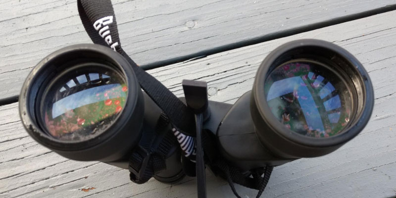 Review of Bushnell Super High-Powered Surveillance Binoculars