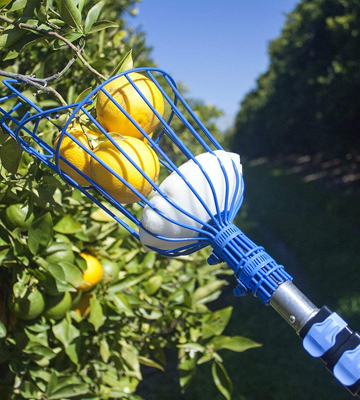 Review of Eversprout Fruit Picker with High-Grade Aluminum Extension Pole