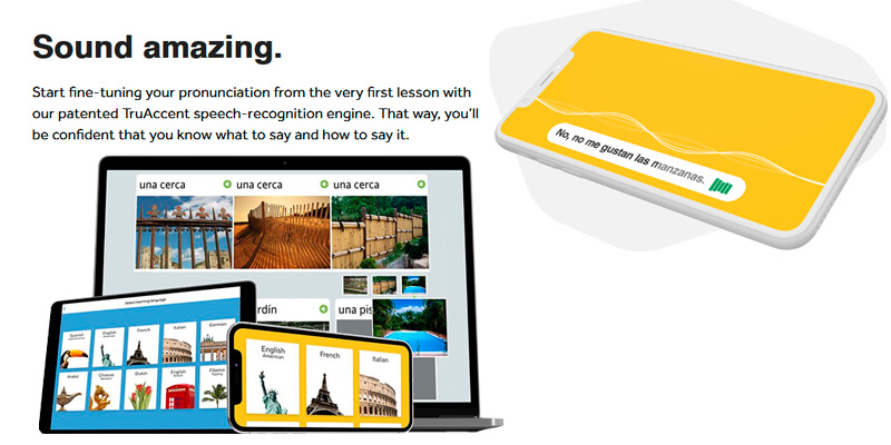 Detailed review of Rosetta Stone Online German Course