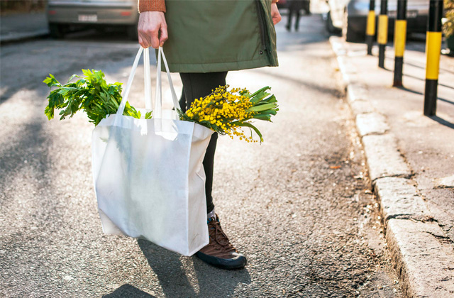 Best Reusable Grocery Bags  