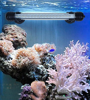 Review of MingDak LED Under Water Aquarium Light