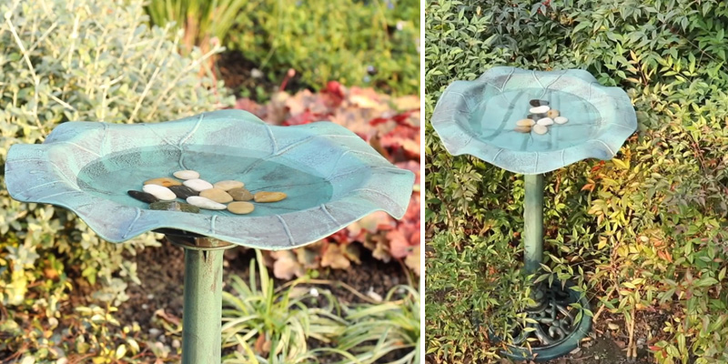 Review of Best Choice Products Lily Leaf Resin Outdoor Pedestal Bird Bath