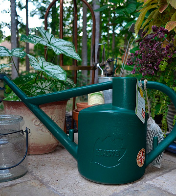 Review of Haws V120 Plastic Watering Can
