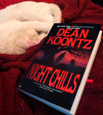 Review of Dean Koontz Night Chills Paperback