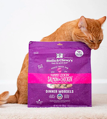 Review of Stella & Chewy's Freeze-Dried Raw Dinner Morsels for Cats