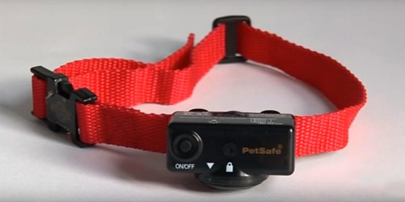 Review of PetSafe PDBC-300 Deluxe