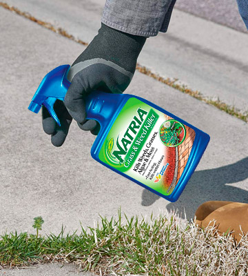 Review of Natria 706170A Ready-to-Use Grass & Weed Killer