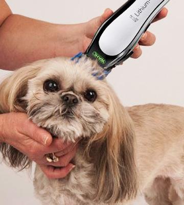 Review of Wahl 9766 Home Pet Wireless Rechargeable Clipper Kit