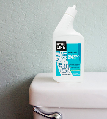 Review of Better Life 24211 Natural Toilet Bowl Cleaner