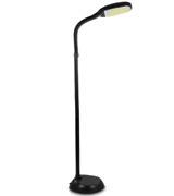 Brightech Floor Lamp with Adjustable Neck