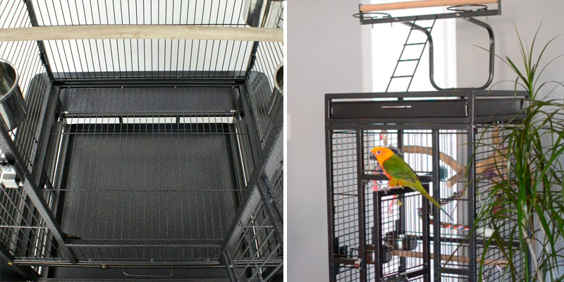 Review of Super Deal PRO 61''/ 68’’ 2in1 Large Bird Cage with Rolling Stand