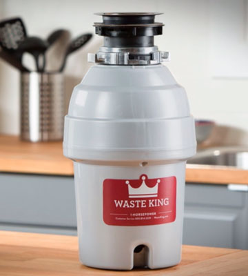 Review of Waste King L-8000 Legend Series Garbage Disposal