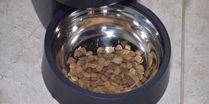Review of PetSafe PFD00-15788 Automatic pet feeder