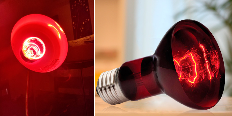 Review of Exo Terra Heat-Glo Infrared Spot Lamp