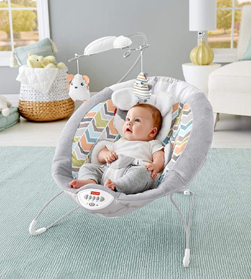 Review of Fisher-Price GGD46 Sweet Snugapuppy Dreams Deluxe Bouncer