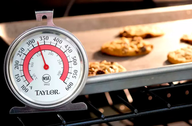 Best Oven Thermometers  