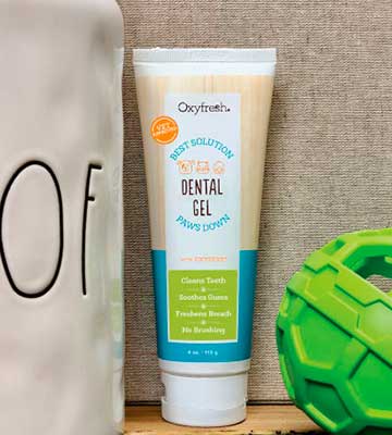 Review of Oxyfresh Professional formula Pet Toothpaste