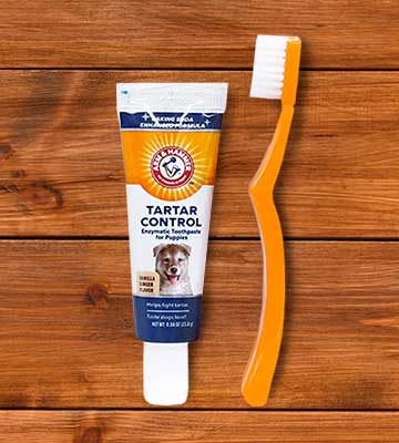 Review of Arm & Hammer Clinical Care Dental Kit for Dogs