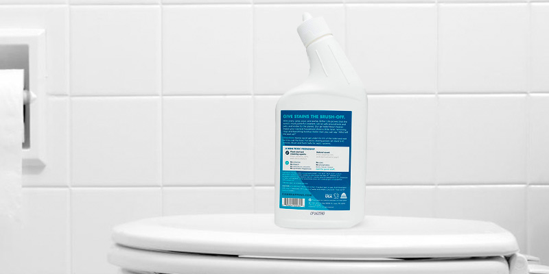 Review of Better Life 24211 Natural Toilet Bowl Cleaner