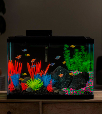 Review of GloFish NV33823 20 Gallon Aquarium Kit Fish