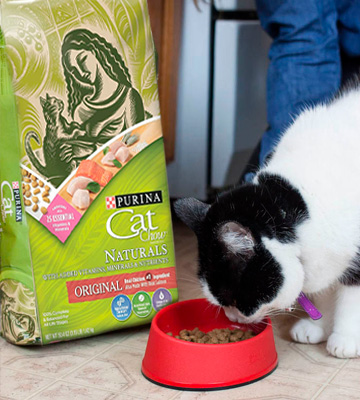 Review of Purina Cat Chow Naturals Original Adult Dry Cat Food
