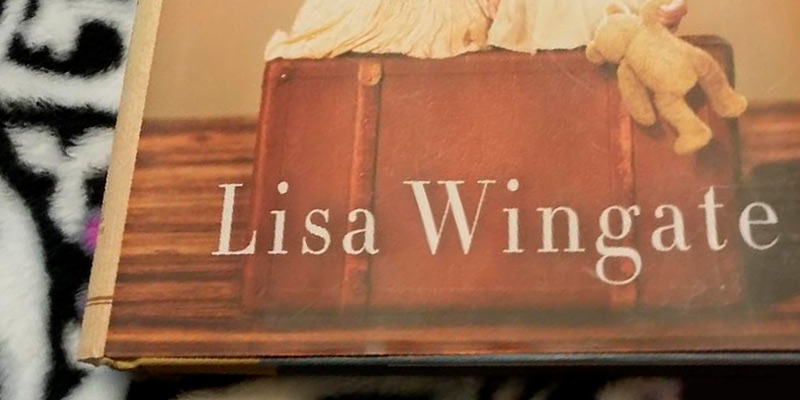 Lisa Wingate Before We Were Yours A Novel in the use