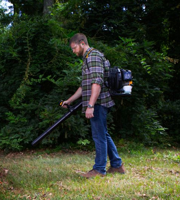 Review of Poulan Pro 967087101 48cc Backpack Blower