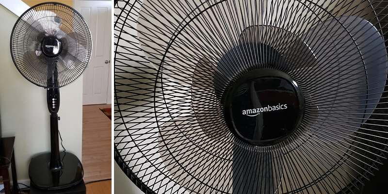 Review of ‎Amazon Basics FS40-10BR Oscillating Dual Blade Standing Pedestal Fan