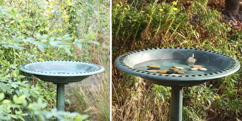 Review of VIVOHOME Polyresin Lightweight Antique Outdoor Garden Bird Bath