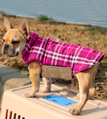 Review of Kuoser Waterproof Windproof Reversible Plaid Dog Vest Winter Coat