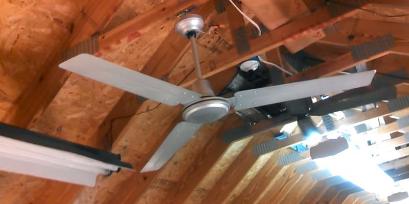 Westinghouse 7861400 Ceiling Fan 56-Inch in the use