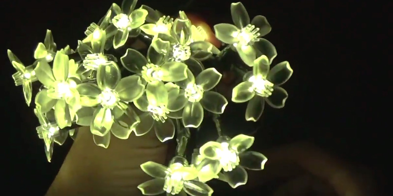 Review of Qedertek Solar Flower Garden Lights for Outdoor