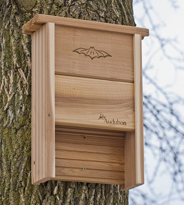 Review of Woodlink NABAT Audubon Bat Shelter