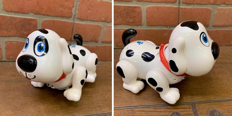 Review of WEofferwhatYOUwant Electronic Robot Dog Toy