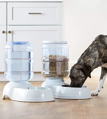 Review of AmazonBasics Self-Dispensing Gravity Pet Feeder and Waterer