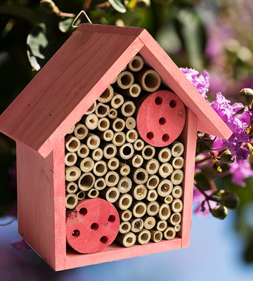 Review of Cestari Bee Houses Etc. 01 Bamboo Tube Mason Bee House