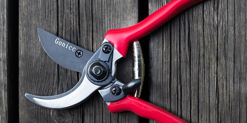 Review of Gonicc FBA_GPPS-1002 Professional Sharp Bypass Pruning Shears
