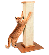 SmartCat The Ultimate Scratching Post