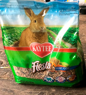 Review of Kaytee Fiesta Rabbit Food