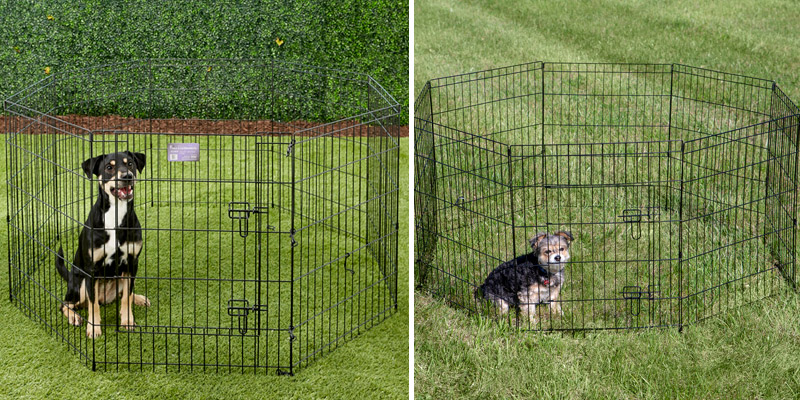 Review of MidWest Homes for Pets Folding Metal Exercise 24"W x 30"H Pen / Pet Playpen