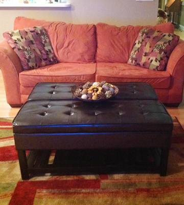 Review of Simpli Home Ottoman Bench for Storage