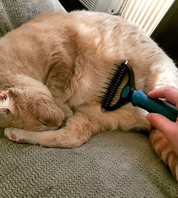Review of Pat Your Pet Pet Grooming Tool for Medium and Long Hair Cats