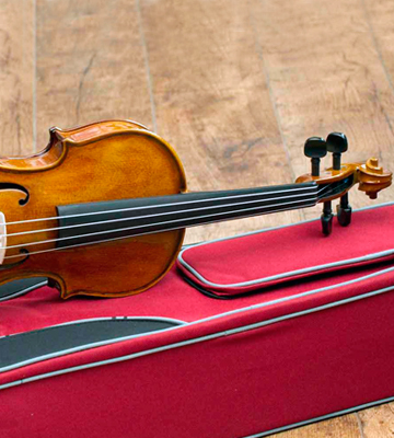 Review of Stentor 1500 4/4 Violin