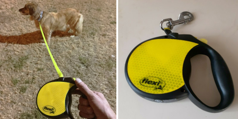 Review of Flexi Neon Retractable Dog Leash