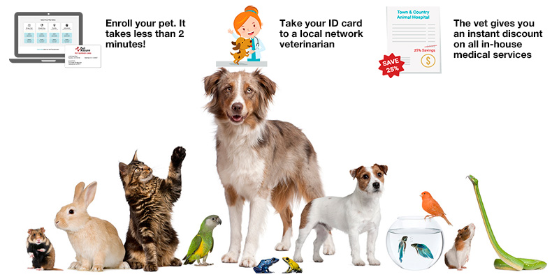 Review of Pet Assure America's Veterinary Discount Plan