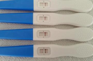 Best Ovulation Tests  