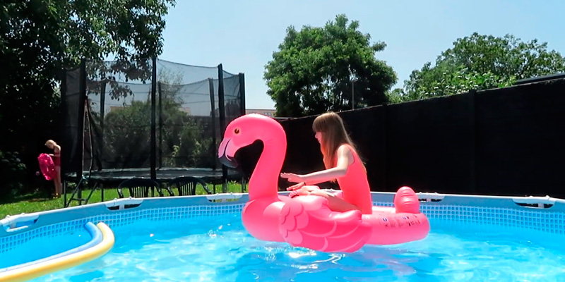 Review of Intex Mega Flamingo Inflatable Island