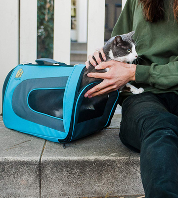Review of Pet Magasin BlueCarrier001 Soft-Sided Cat Carrier