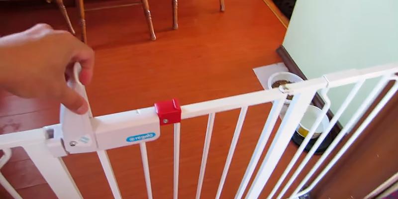 Detailed review of Regalo Easy Step Walk Thru Child Gate